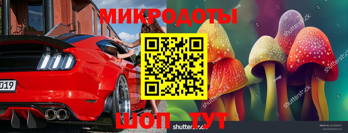 Сланцы  Галлюциногенные грибы мицелий  купить закладку  Вход с VPN 