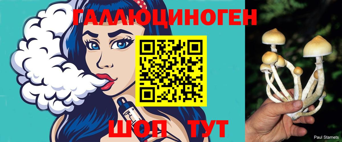 Псилоцибиновые грибы мицелий Сланцы